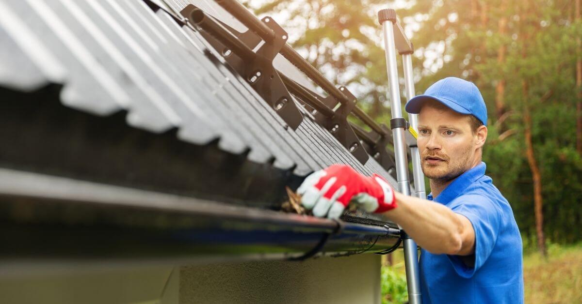 Tradie on a ladder cleaning a cutter, working near a solar system