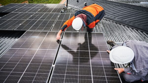 Consumer Energy Resources and Harmonic Distortion on the Grid